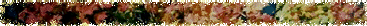 rwc_-_back_to_nature001015.gif