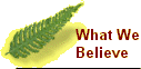 rwc_-_back_to_nature002016.gif