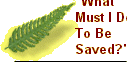 rwc_-_back_to_nature006002.gif